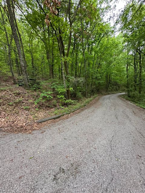 Tiny photo for 000 Wheeler Avenue, Chattanooga, TN 37406 (MLS # 1513136)