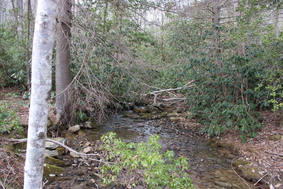 134 Windridge Drive, Dunlap, Tennessee image 4