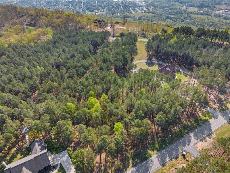 Wilderness Drive #LOT 75-B, Jasper, Tennessee image 2