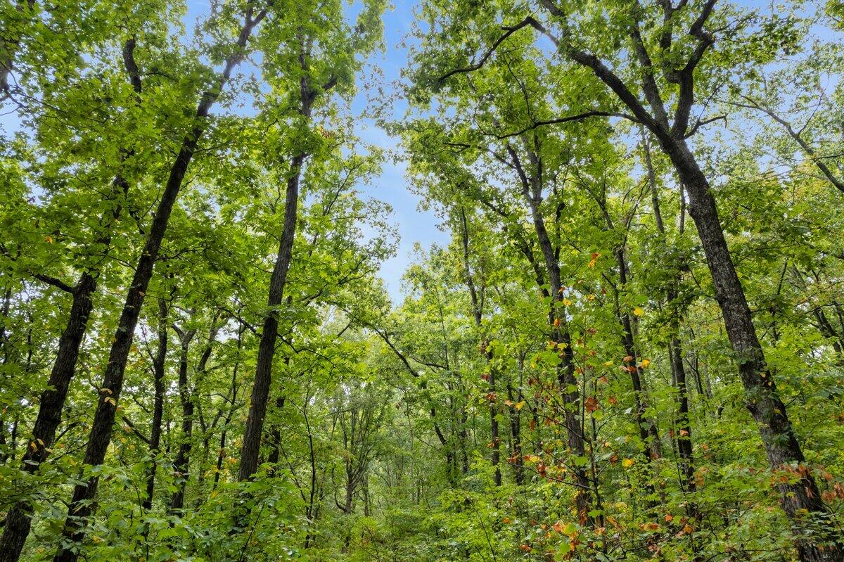 0 Browbend Drive Lot 18