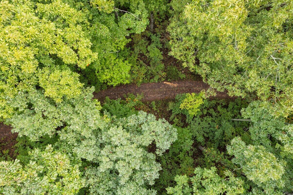 0 Browbend Drive Lot 18