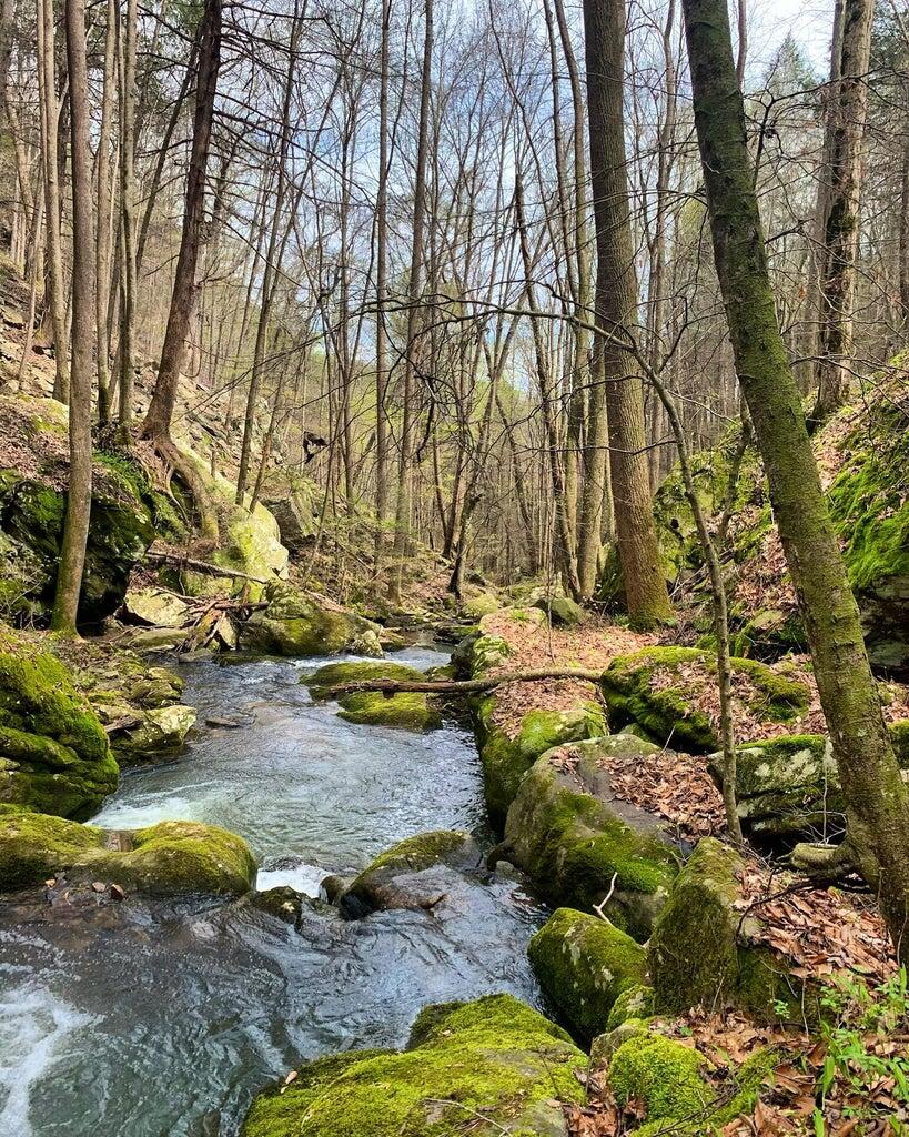 2269 Little Bend Road #162, Signal Mountain, Tennessee image 9