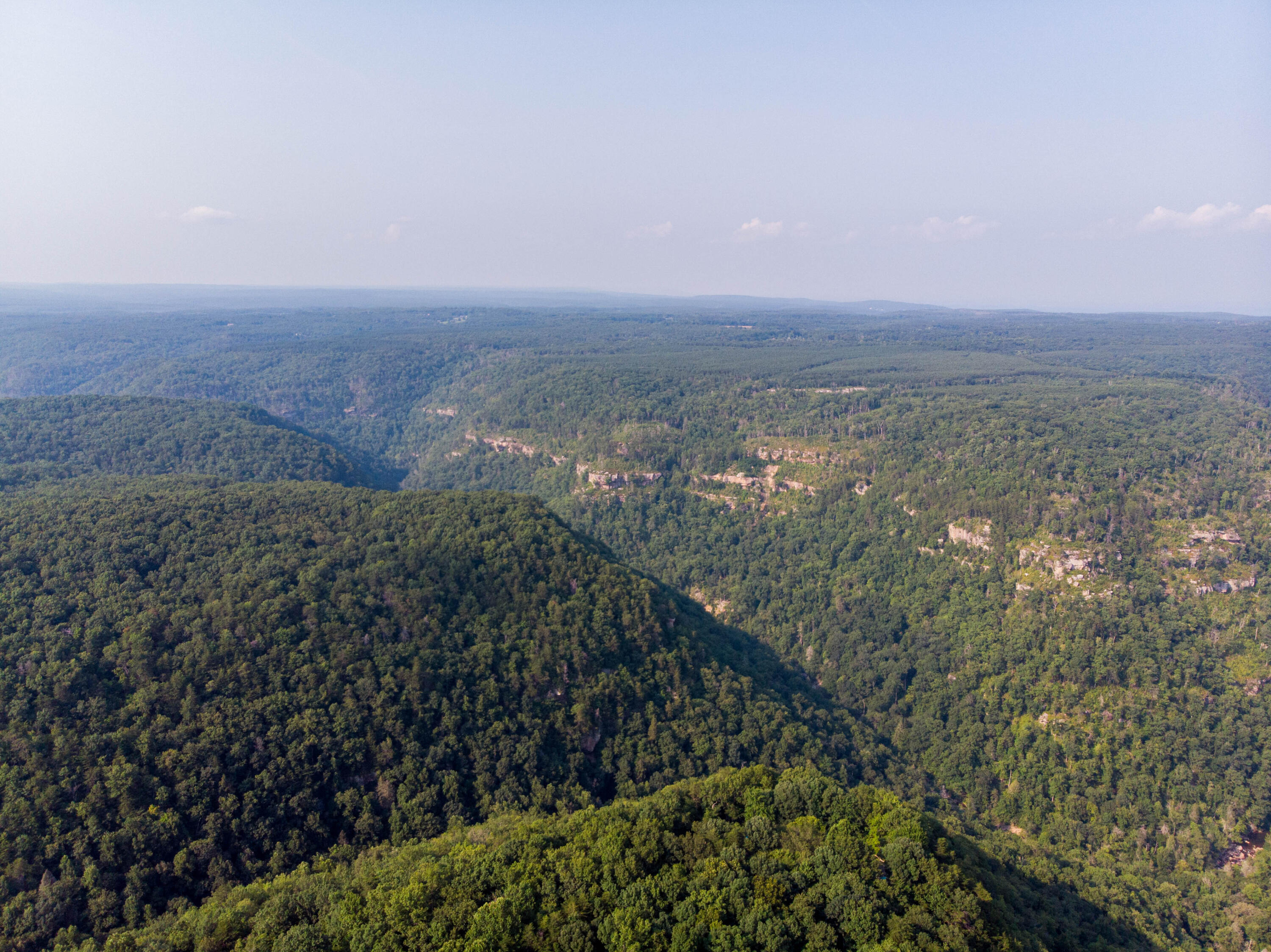 2269 Little Bend Road #162, Signal Mountain, Tennessee image 14