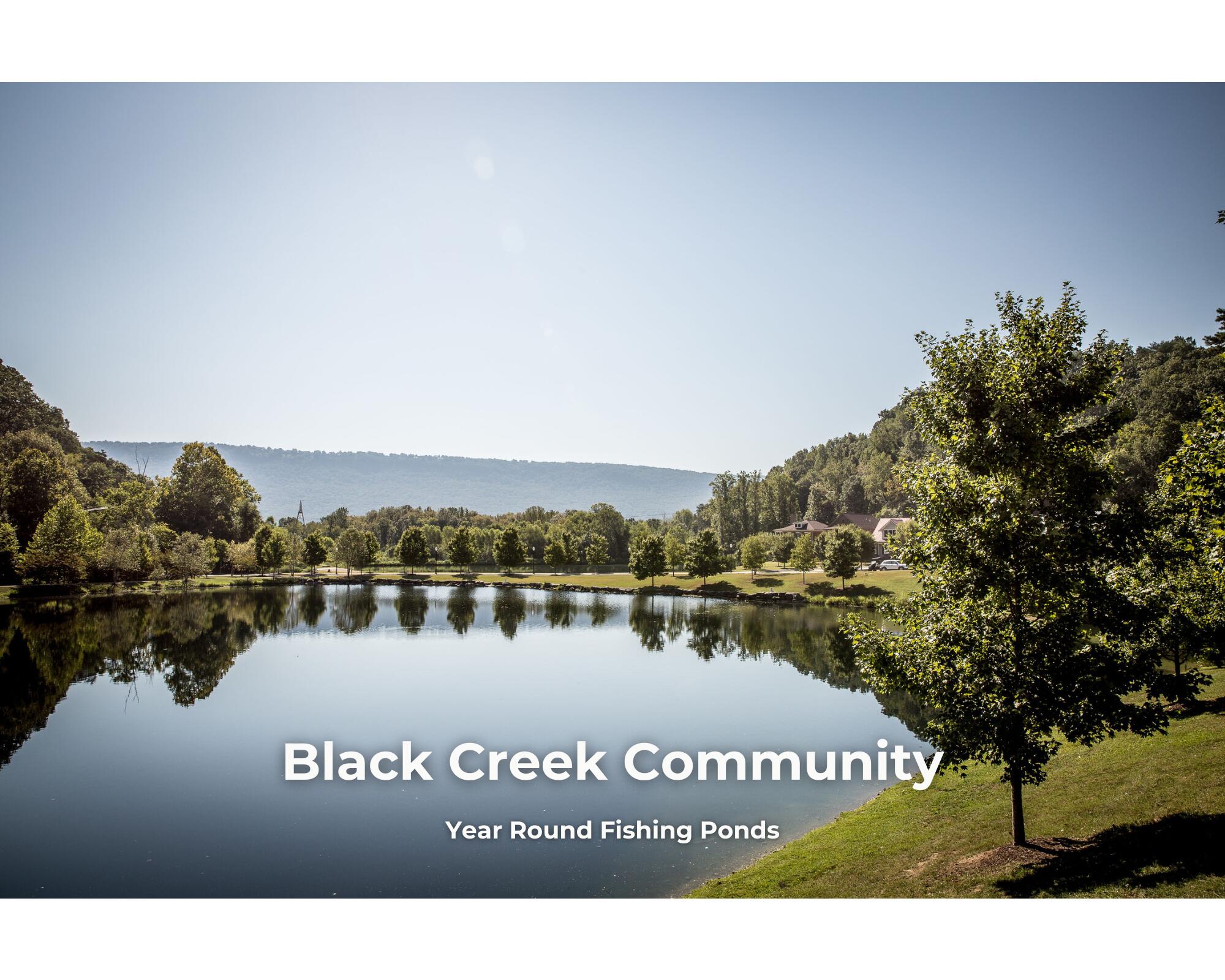 4682 Amethyst Road #917, Chattanooga, Tennessee image 15