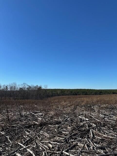 Tiny photo for Tract 2 50th Avenue, Gruetli Laager, TN 37339 (MLS # 1527000)