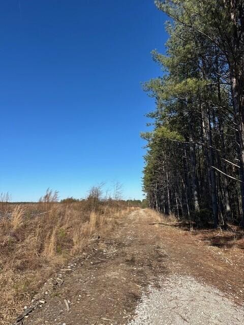 Tiny photo for Tract 2 50th Avenue, Gruetli Laager, TN 37339 (MLS # 1527000)