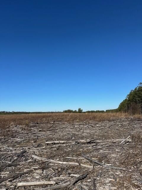 Photo of Tract 2 50th Avenue, Gruetli Laager, TN 37339 (MLS # 1527000)