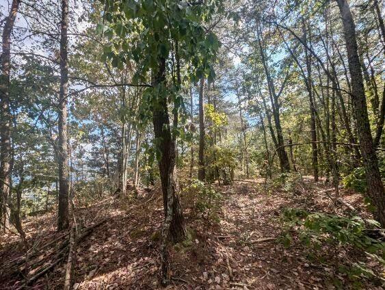 01 Windridge Road, Dunlap, Tennessee image 8
