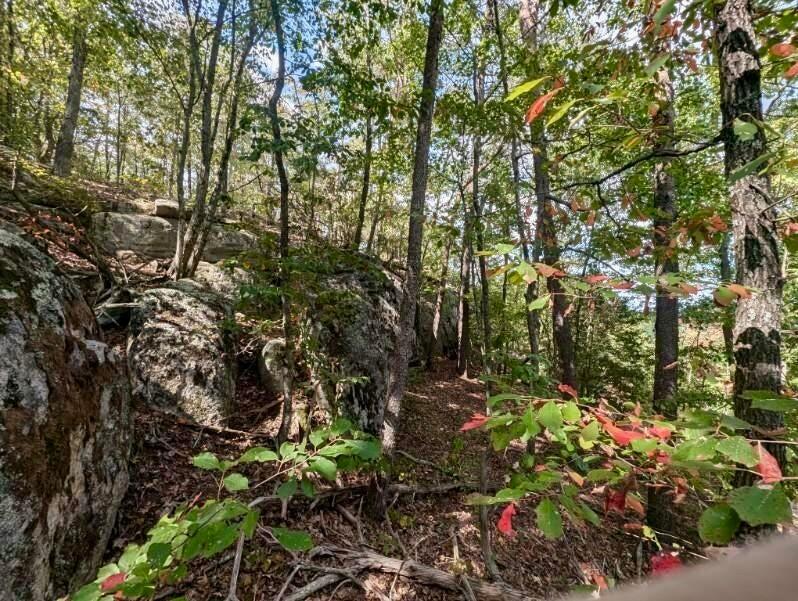 01 Windridge Road, Dunlap, Tennessee image 9