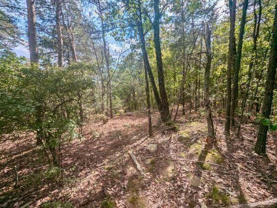 01 Windridge Road, Dunlap, Tennessee image 7