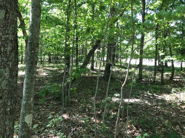 100 Bluff View Drive