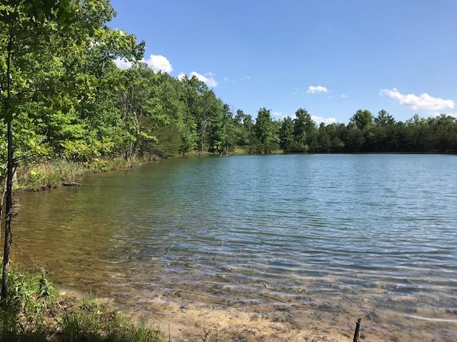 100 Bluff View Drive