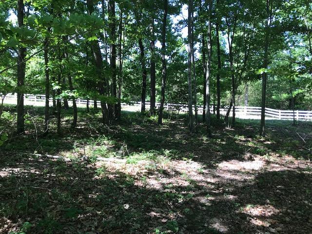 100 Bluff View Drive