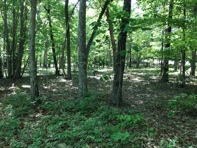 100 Bluff View Drive