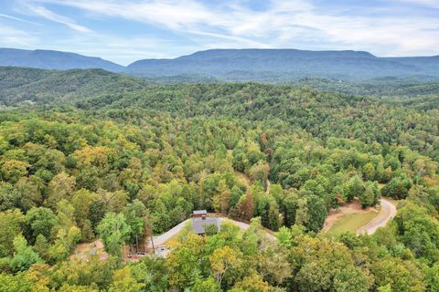 Tiny photo for 154 High Top Road, Reliance, TN 37369 (MLS # 1528649)