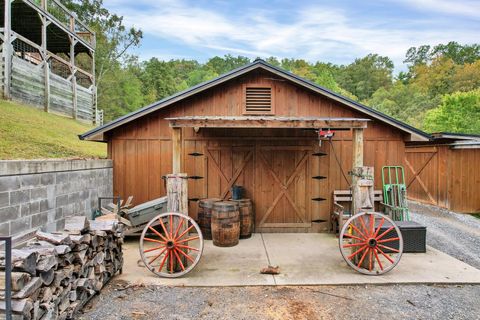 Tiny photo for 154 High Top Road, Reliance, TN 37369 (MLS # 1528649)