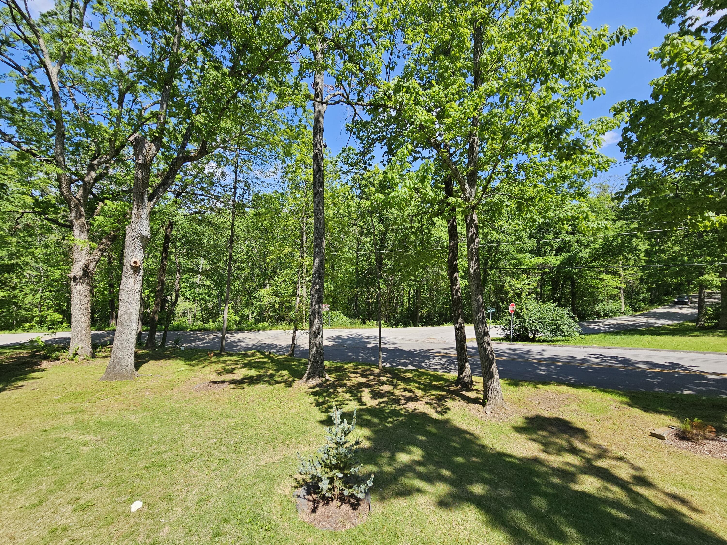 321 Robin Hood Trail, Signal Mountain, Tennessee image 7