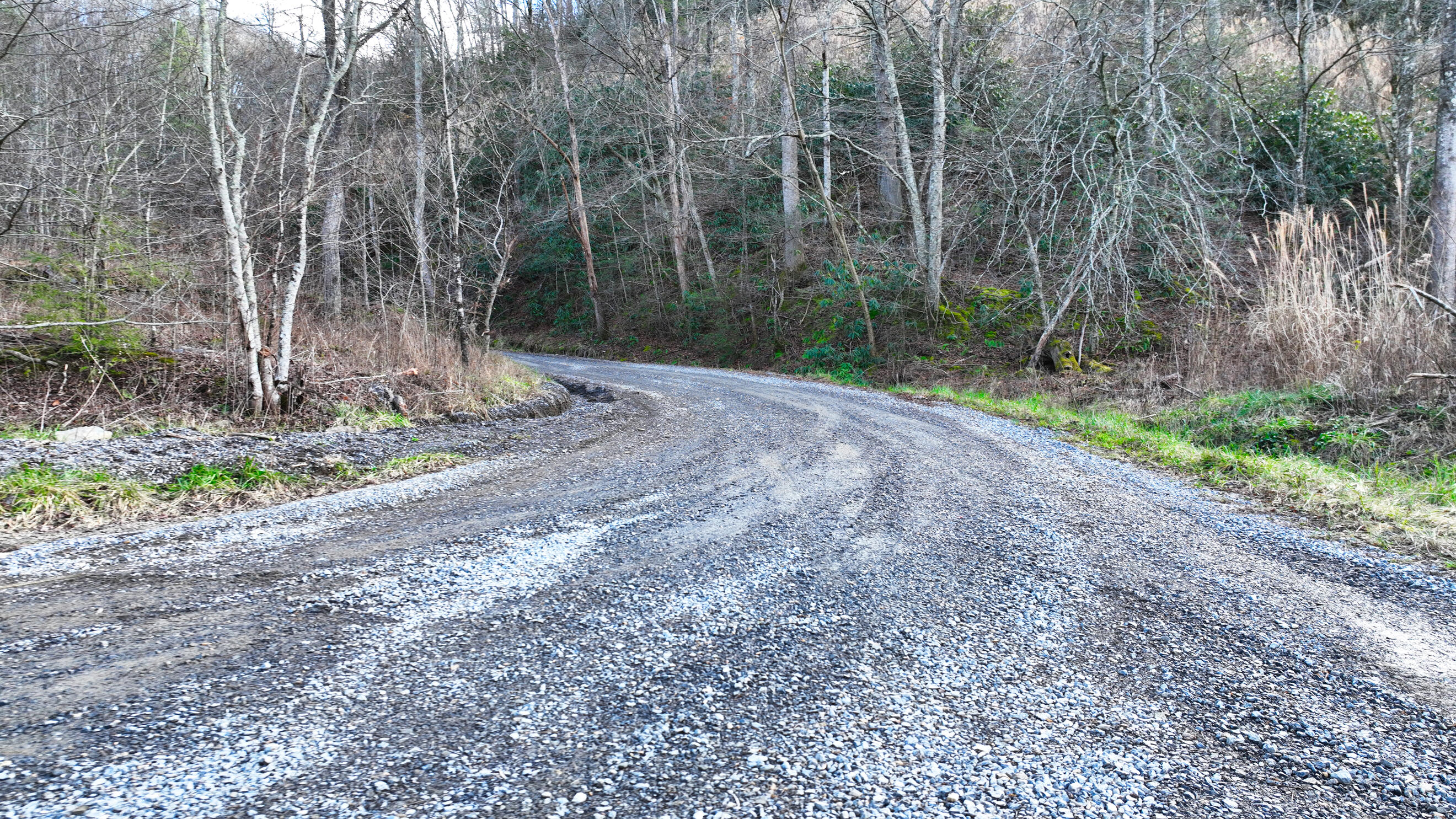 Ramsey Road, Cosby, Tennessee image 15