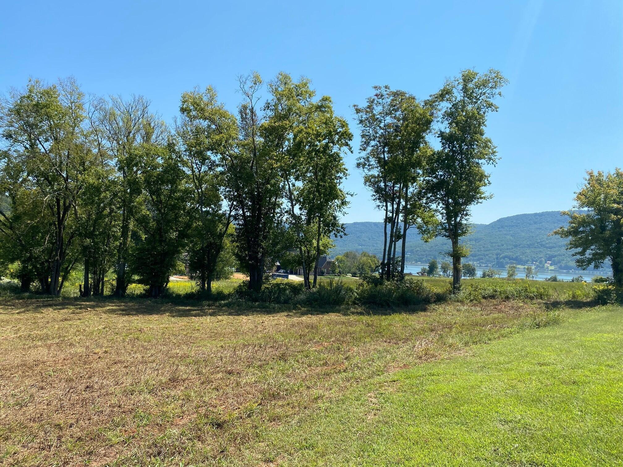Lot 180 Starboard Drive #180, Jasper, Tennessee image 3