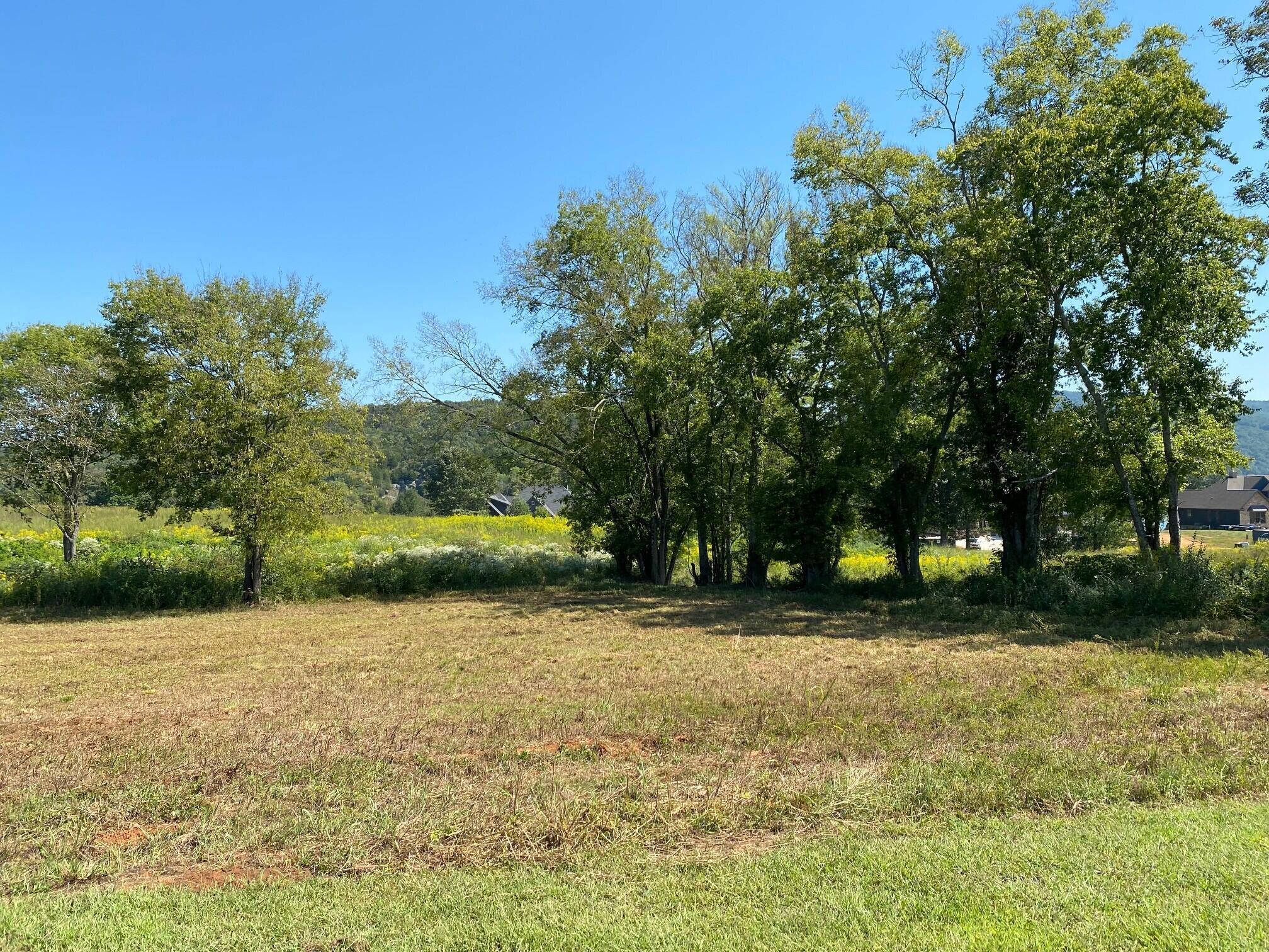 Lot 180 Starboard Drive #180, Jasper, Tennessee image 8