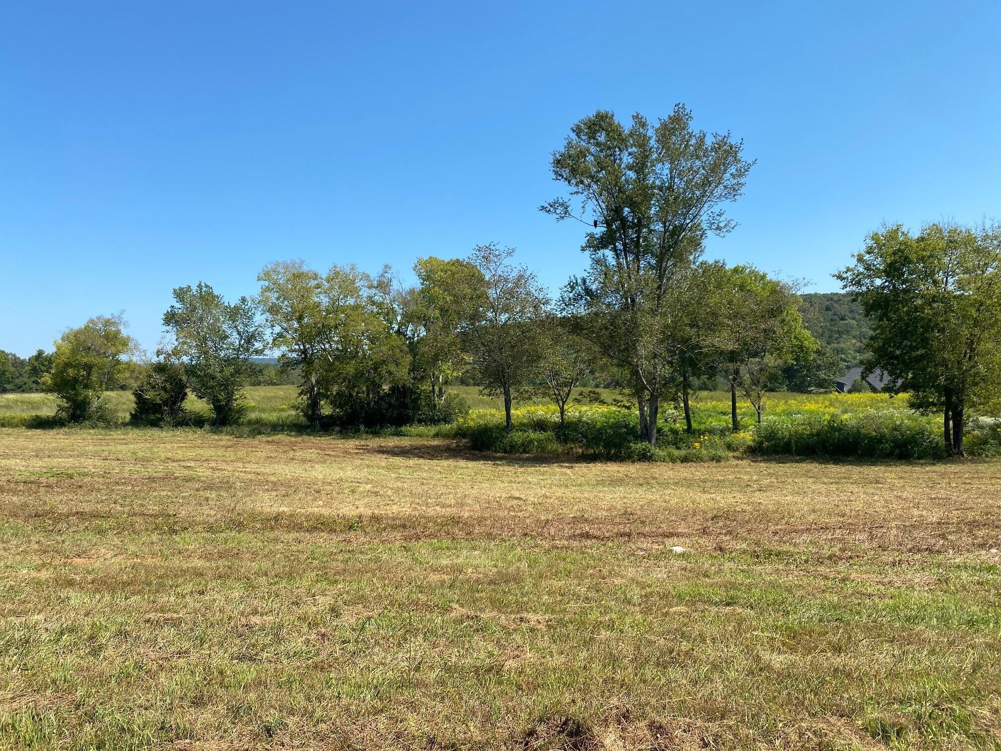 Lot 180 Starboard Drive #180, Jasper, Tennessee image 1