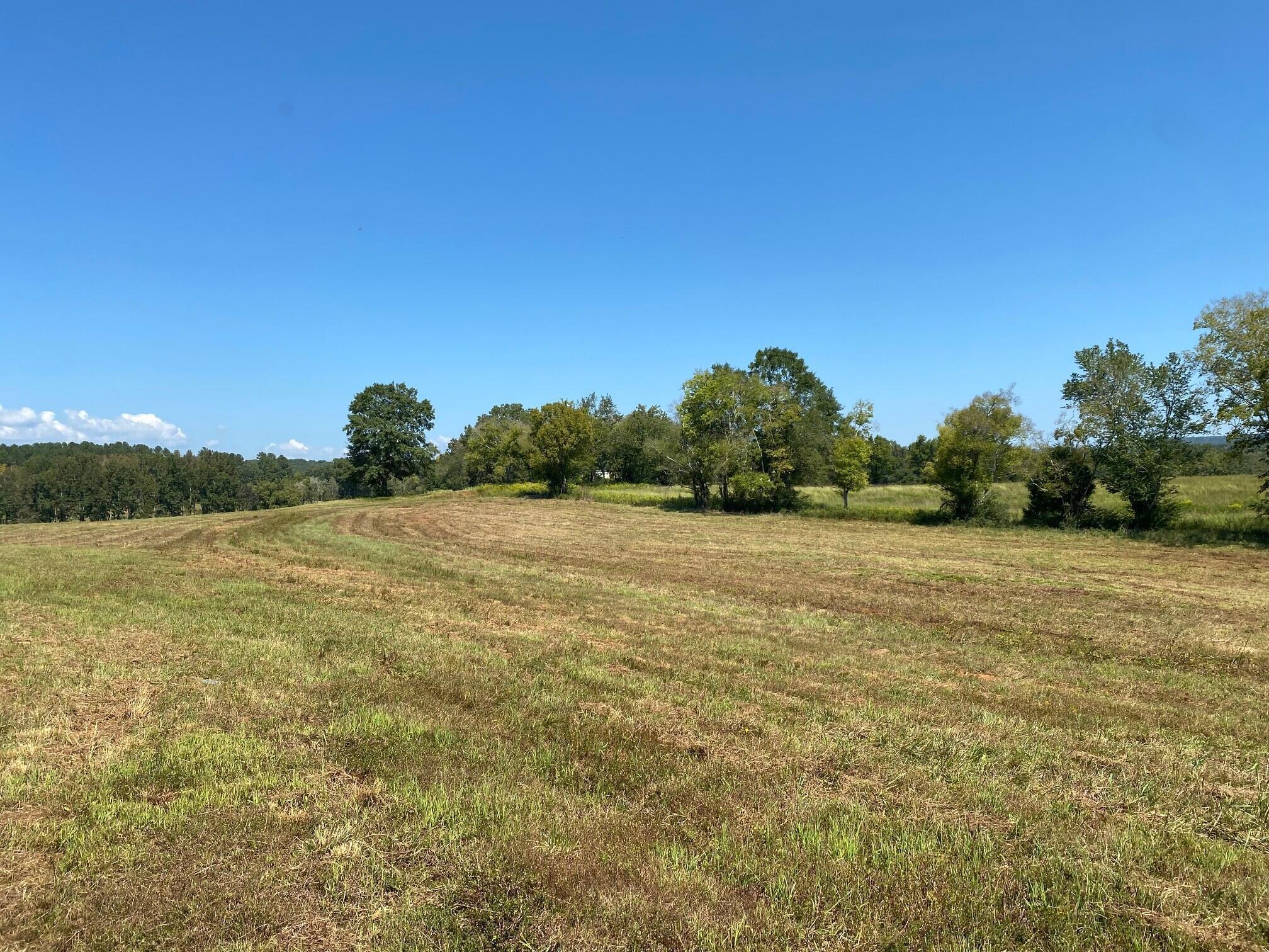 Lot 180 Starboard Drive #180, Jasper, Tennessee image 5