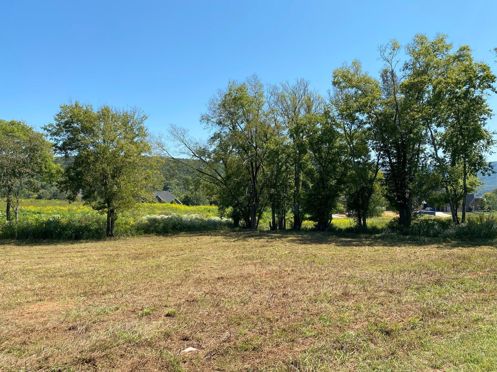 Lot 180 Starboard Drive #180, Jasper, Tennessee image 6