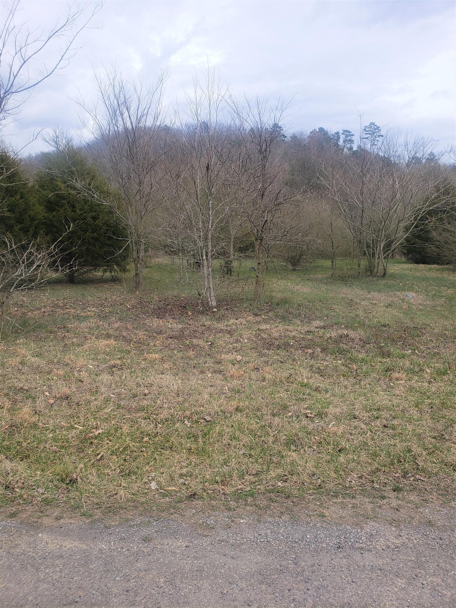249 Daus Mill Road, Dunlap, Tennessee image 2