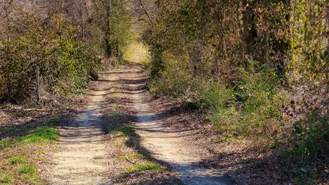 Tiny photo for 4836 Lillie Lane, Ooltewah, TN 37363 (MLS # 1526965)