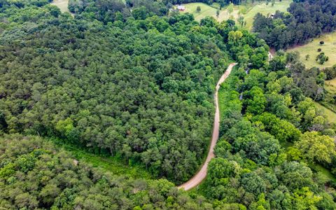 Tiny photo for 0 Pine Hill Road SE, Rydal, GA 30171 (MLS # 1515932)