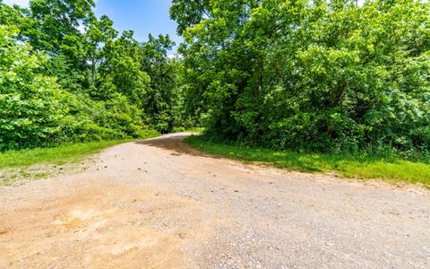 Tiny photo for 0 Pine Hill Road SE, Rydal, GA 30171 (MLS # 1515932)