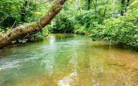 Tiny photo for 0 Pine Hill Road SE, Rydal, GA 30171 (MLS # 1515932)