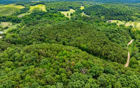 Tiny photo for 0 Pine Hill Road SE, Rydal, GA 30171 (MLS # 1515932)