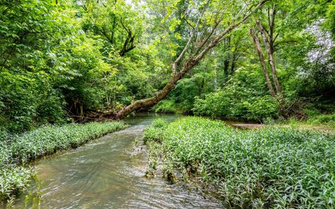 Tiny photo for 0 Pine Hill Road SE, Rydal, GA 30171 (MLS # 1515932)