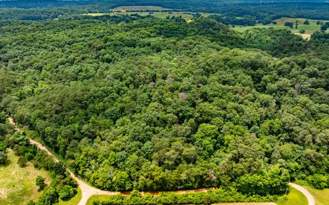 Tiny photo for 0 Pine Hill Road SE, Rydal, GA 30171 (MLS # 1515932)