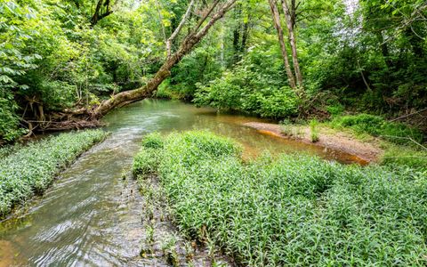 Tiny photo for 0 Pine Hill Road SE, Rydal, GA 30171 (MLS # 1515932)