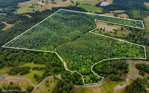 Photo of 0 Pine Hill Road SE, Rydal, GA 30171 (MLS # 1515932)