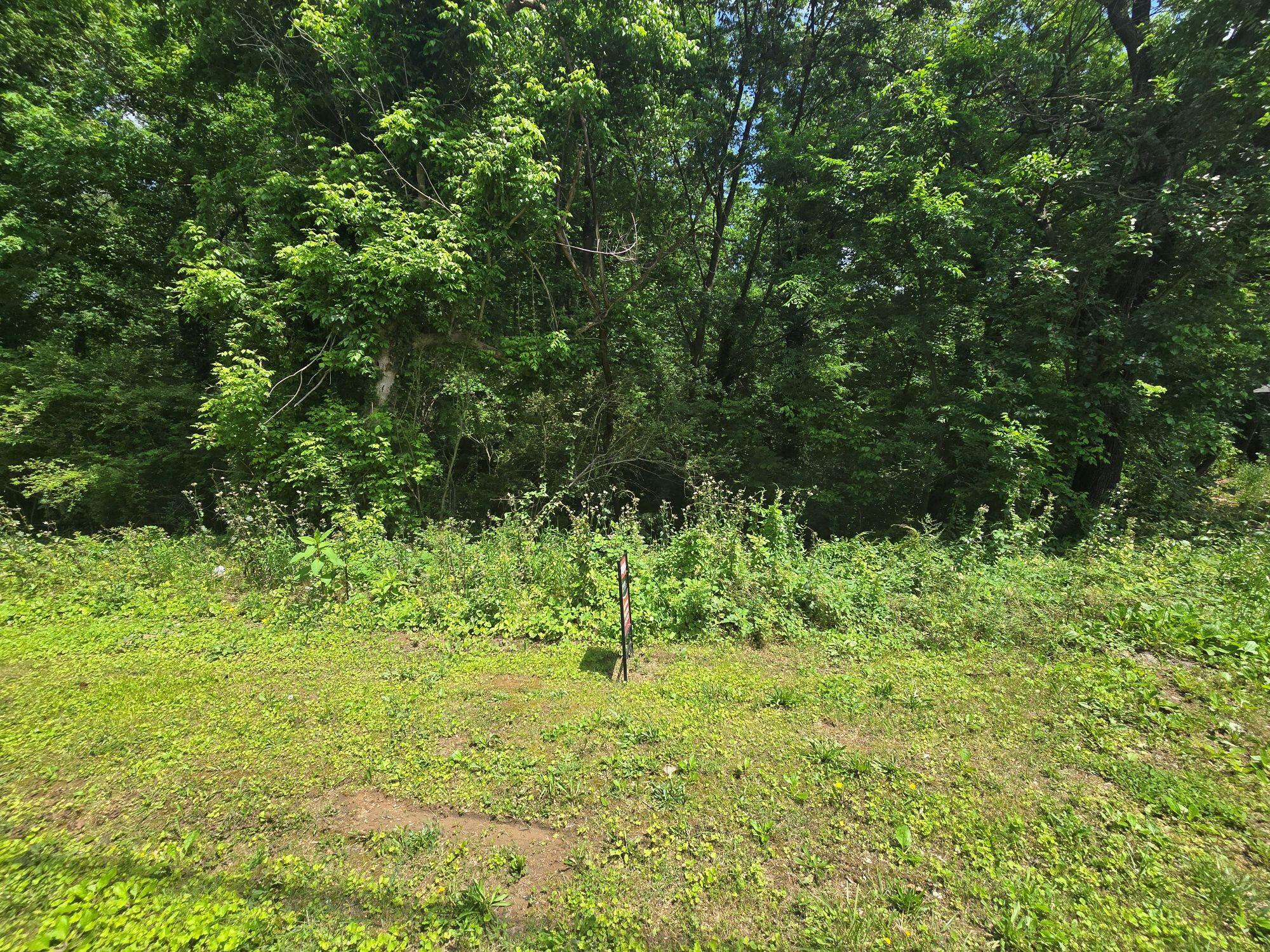 Dogwood Drive, Dalton, Georgia image 2