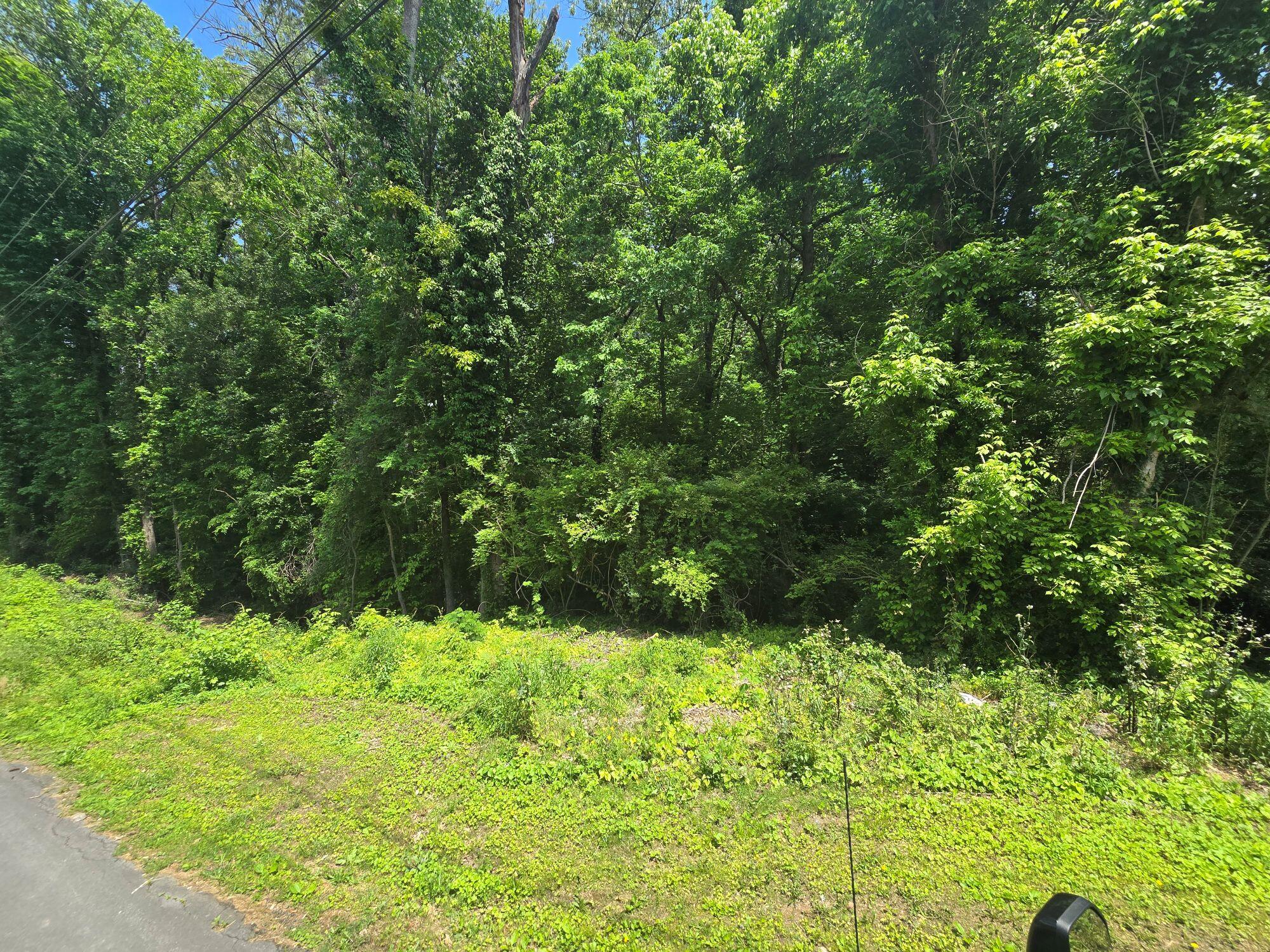 Dogwood Drive, Dalton, Georgia image 3