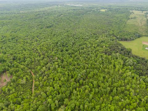 Photo of 2361 Colony Road, Gruetli Laager, TN 37339 (MLS # 1514112)