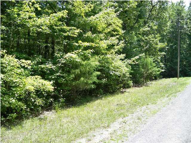 H58 Tatum Mining Road #H58, Menlo, Georgia image 6