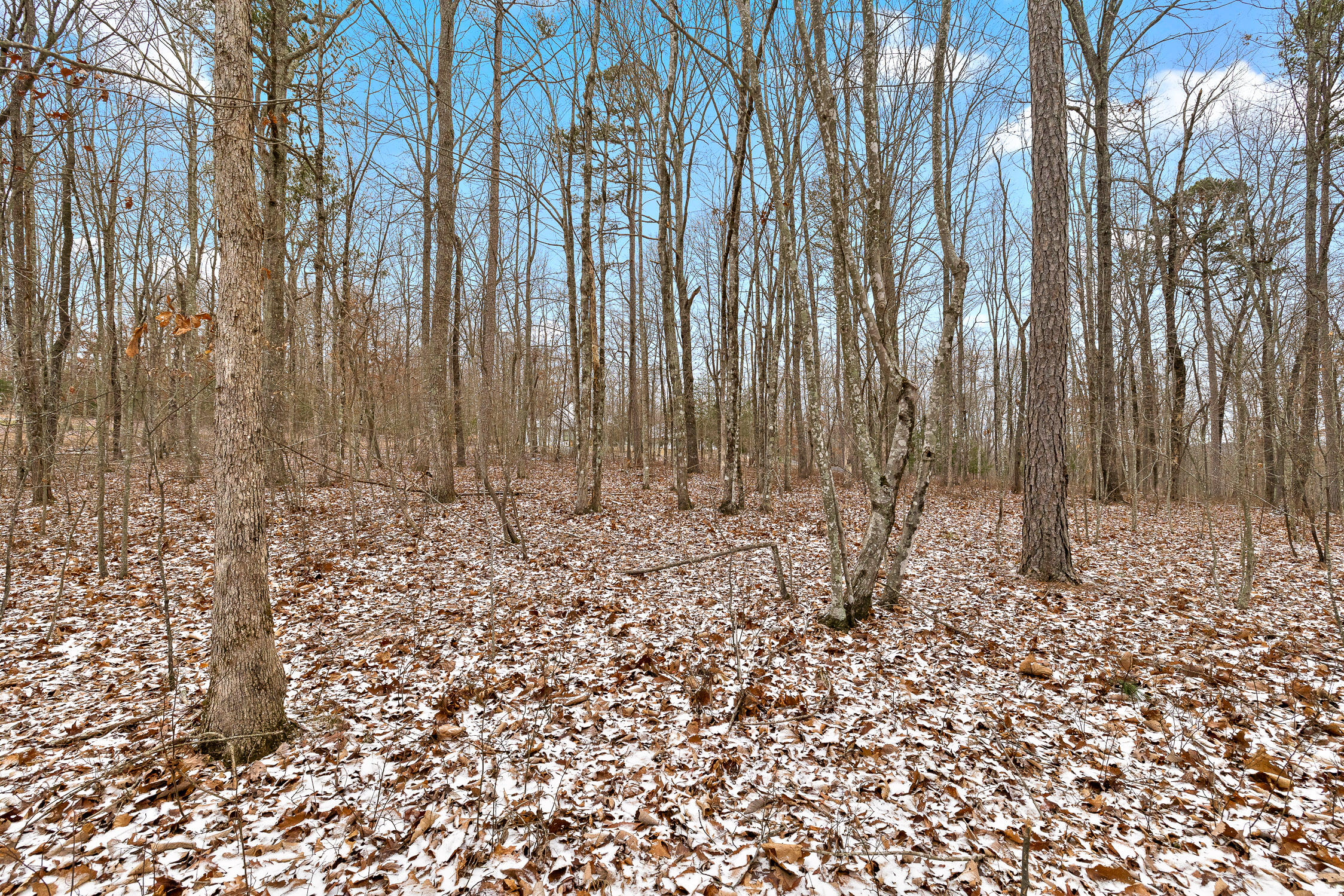 Twilight Trail #523  524, Dunlap, Tennessee image 34