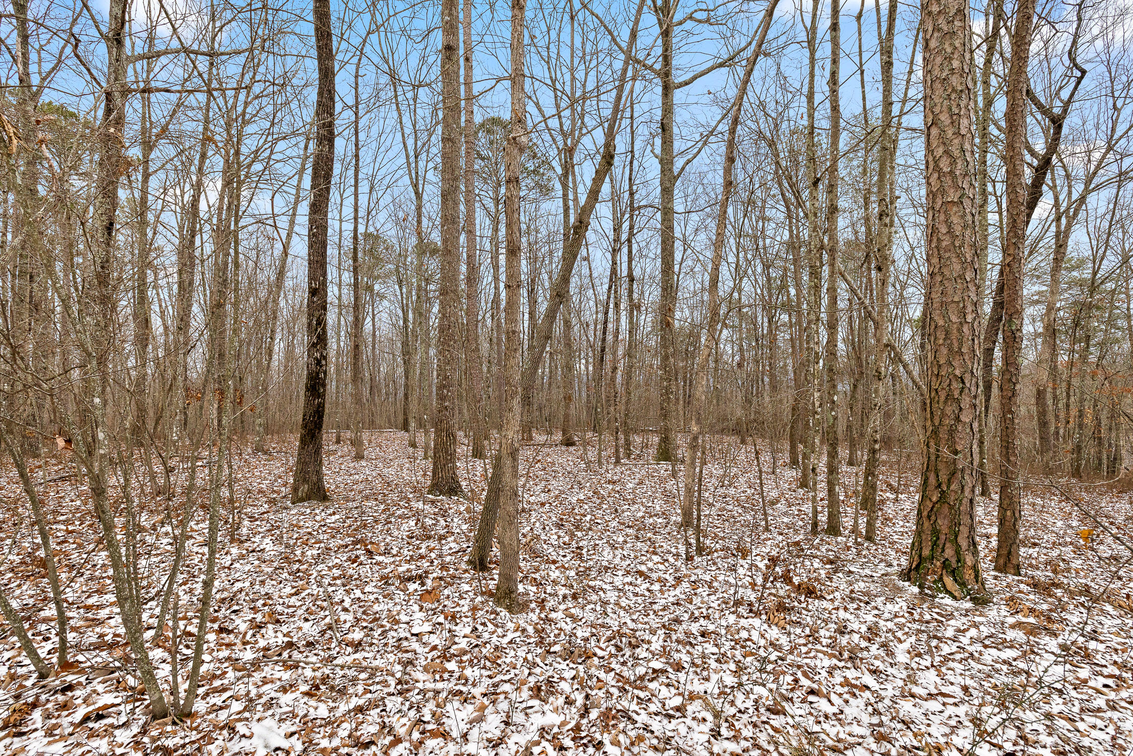Twilight Trail #523  524, Dunlap, Tennessee image 33