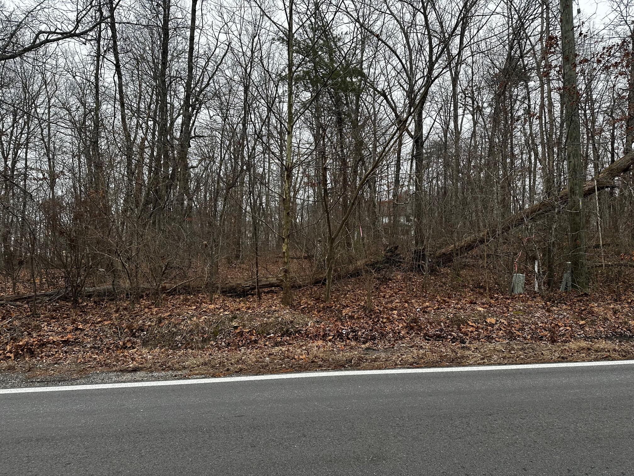 2800 Corral Road #173, Signal Mountain, Tennessee image 1
