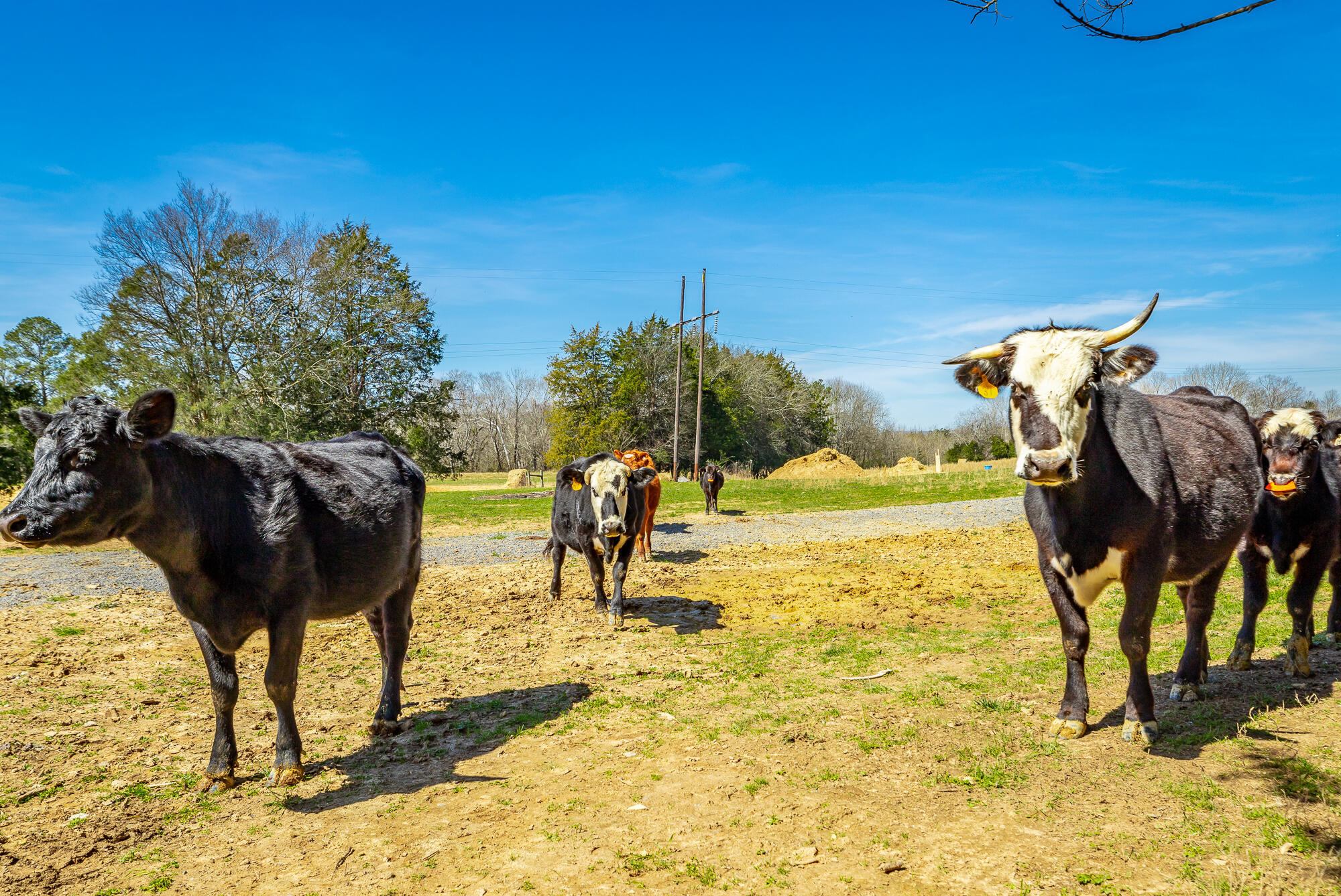 1527 Glass Mill Road