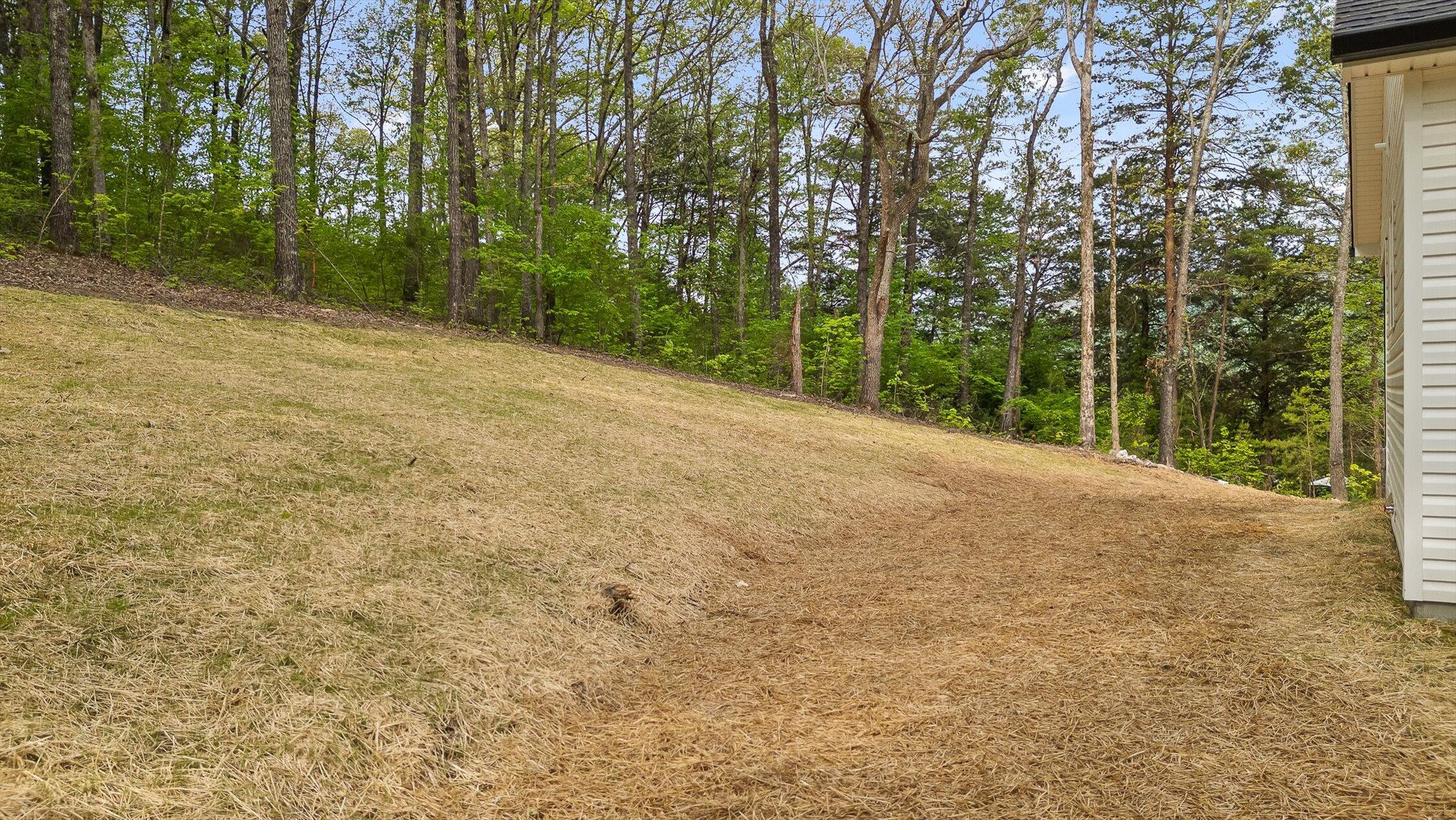 208 Treeline Drive, Dunlap, Tennessee image 38