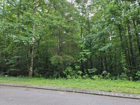 Vacant Land For Sale - LOT 144 Lower Brow Road<br/> Bledsoe County, Dunlap, TN 37327