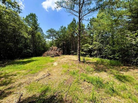 Photo of Lot 1 Highway 304, Ten Mile, TN 37880 (MLS # 1521712)