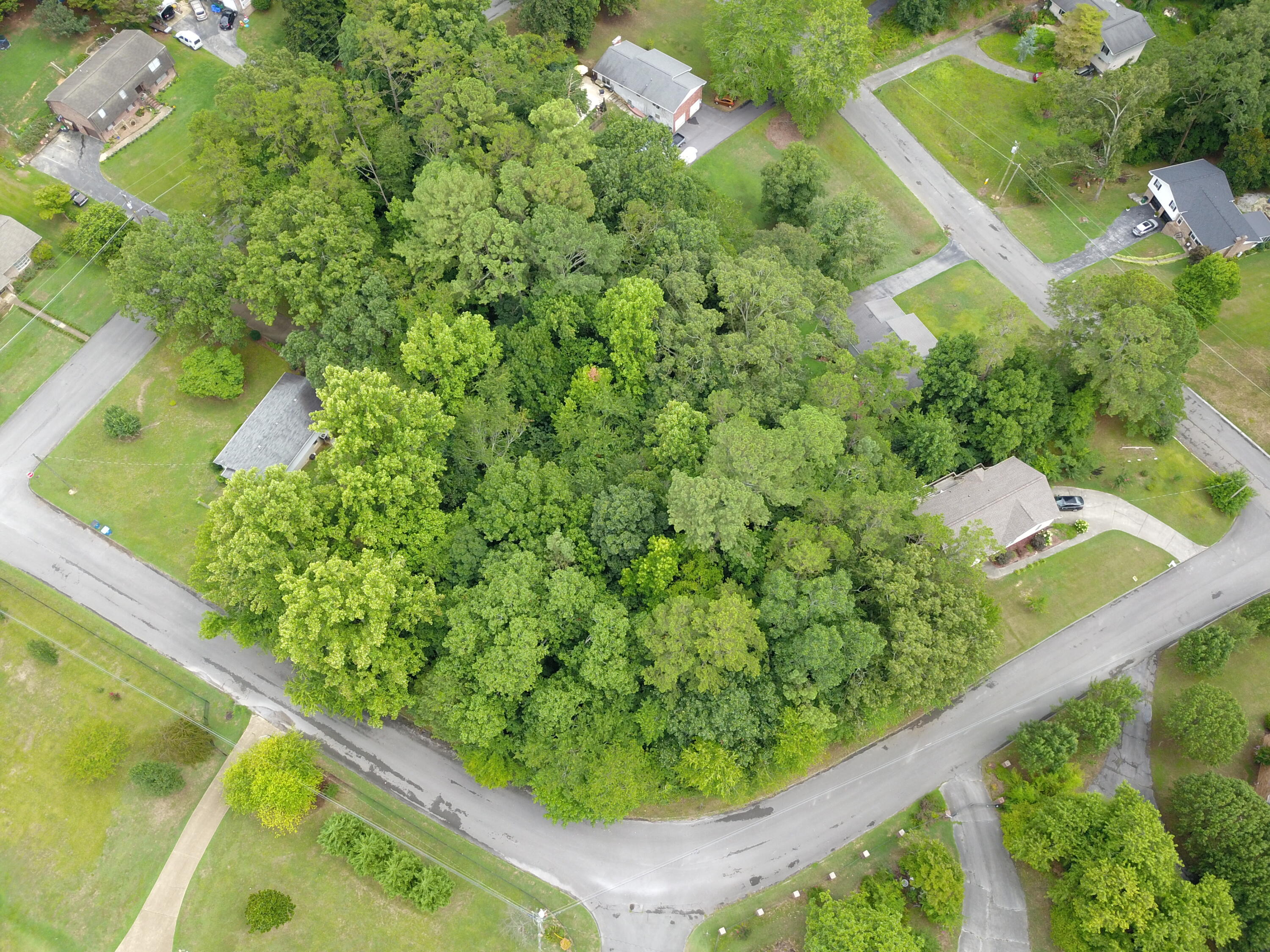 Maple Way, Ringgold, Georgia image 3