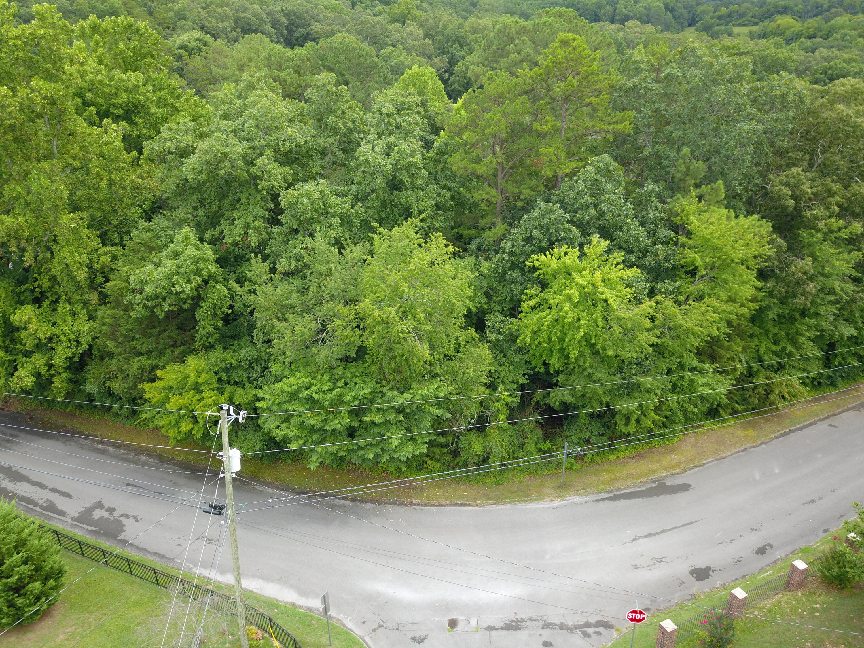 Maple Way, Ringgold, Georgia image 6